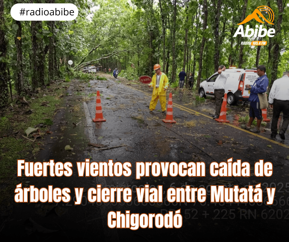 Fuertes vientos provocan caída de árboles y cierre vial